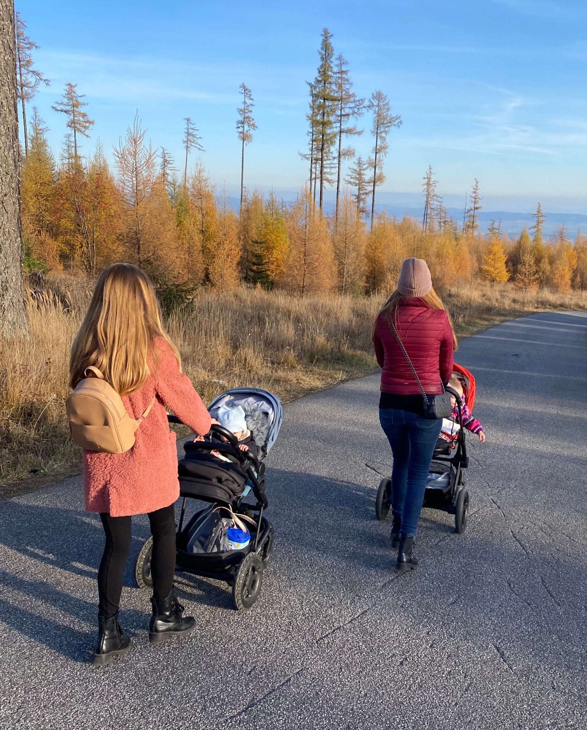 two girls walking with baby strollers